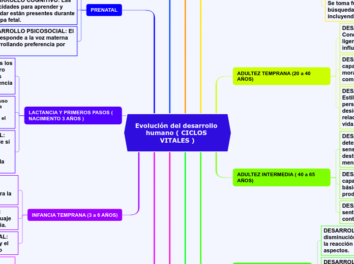 Evolución del desarrollo humano ( CICLOS VITALES )