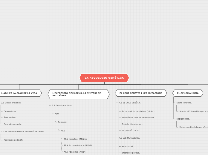 Organigrama arbol