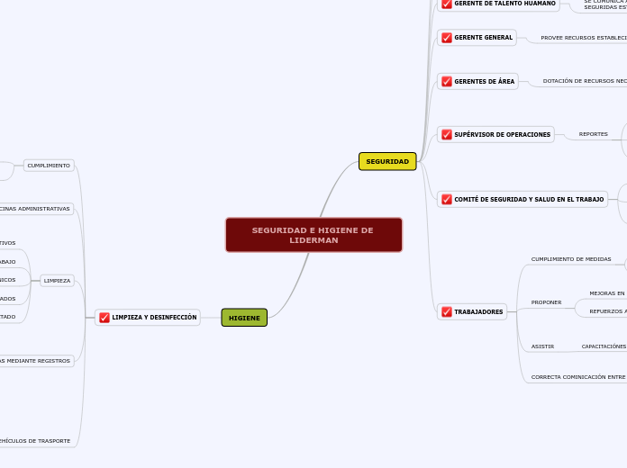 SEGURIDAD E HIGIENE DE LIDERMAN