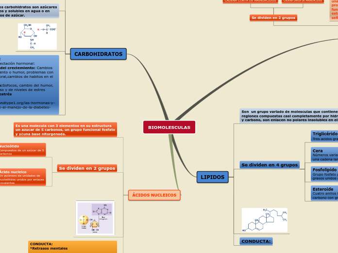 BIOMOLESCULAS