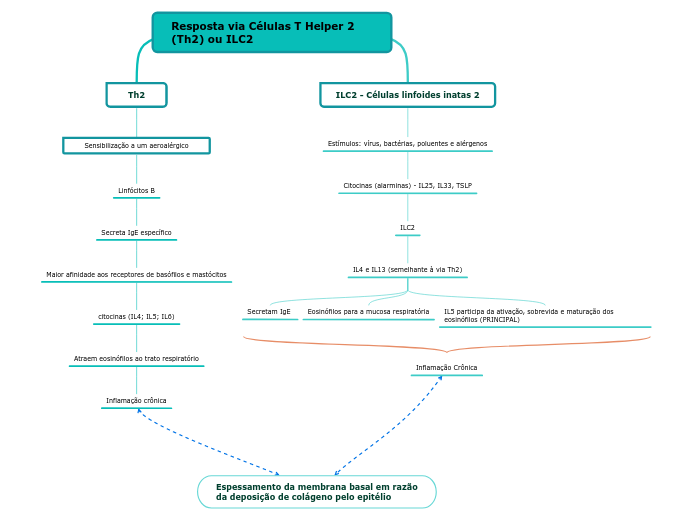 Resposta via Células T Helper 2 (Th2) ou ILC2