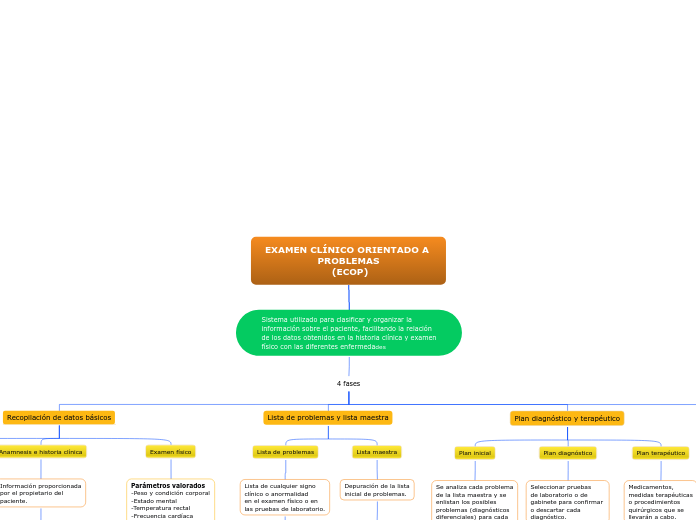 EXAMEN CLÍNICO ORIENTADO A PROBLEMAS
 (ECOP)