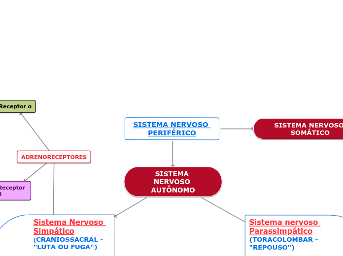 SISTEMA NERVOSO PERIFÉRICO