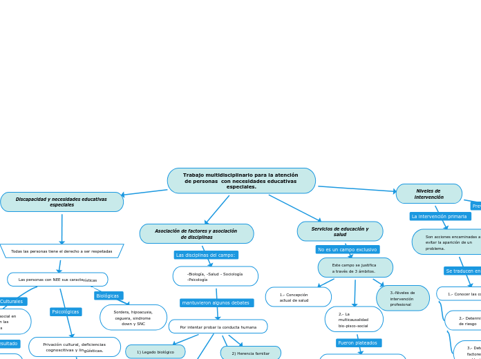 Trabajo multidisciplinario para la atención de personas  con necesidades educativas especiales.