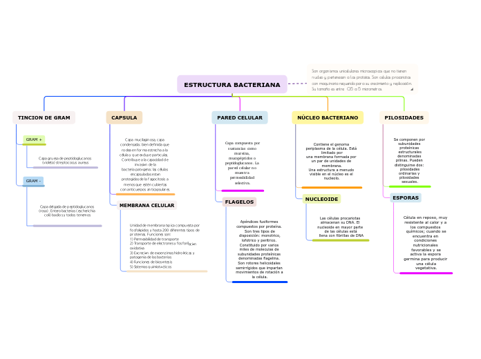 ESTRUCTURA BACTERIANA