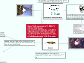 Gene expression in the Three-Spined Stickleback (Gasterosteus aculeatus) of Marine and Freshwater Ecotypes