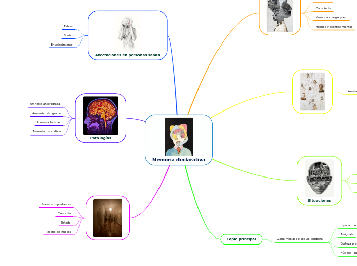 Memoria declarativa