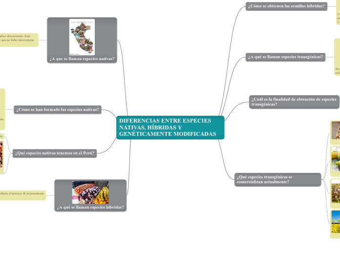 DIFERENCIAS ENTRE ESPECIES NATIVAS, HÍBRIDAS Y GENÉTICAMENTE MODIFICADAS