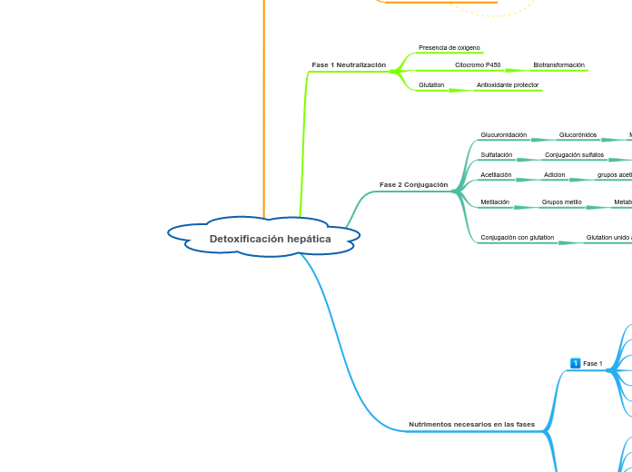  Detoxificación hepática
