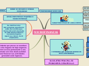 Sample Mind Map