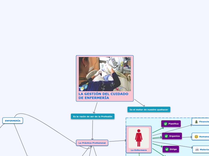 LA GESTIÓN DEL CUIDADO DE ENFERMERÍA
