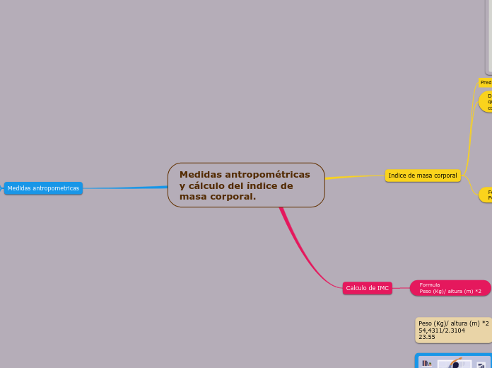 Medidas antropométricas y cálculo del índice de masa corporal.