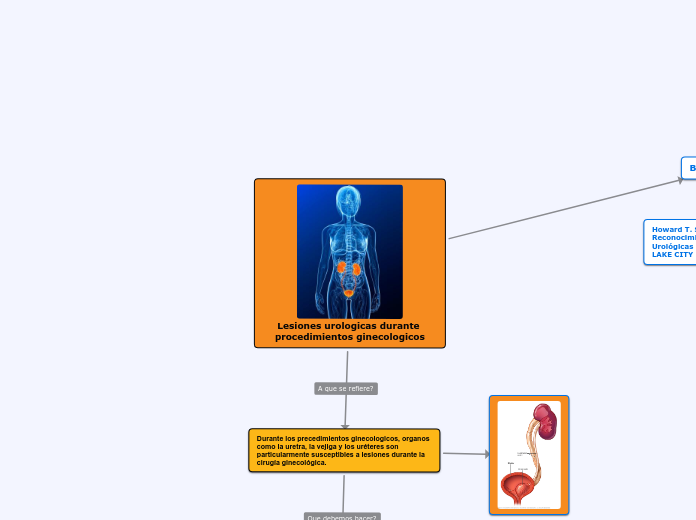 Lesiones urologicas durante procedimientos ginecologicos