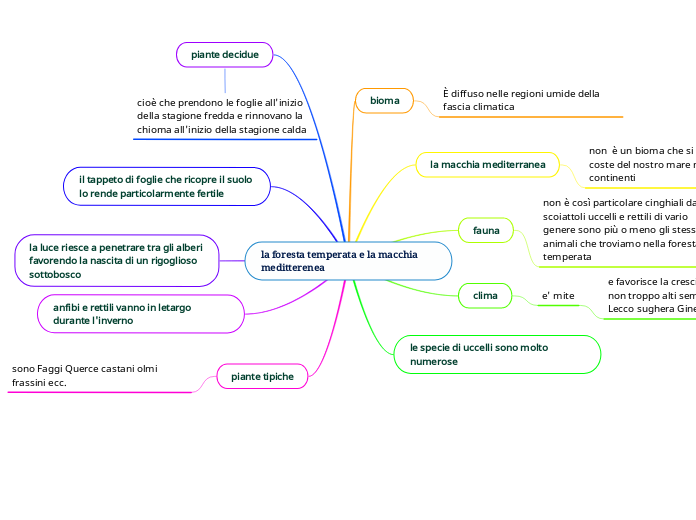 la foresta temperata e la macchia meditterenea