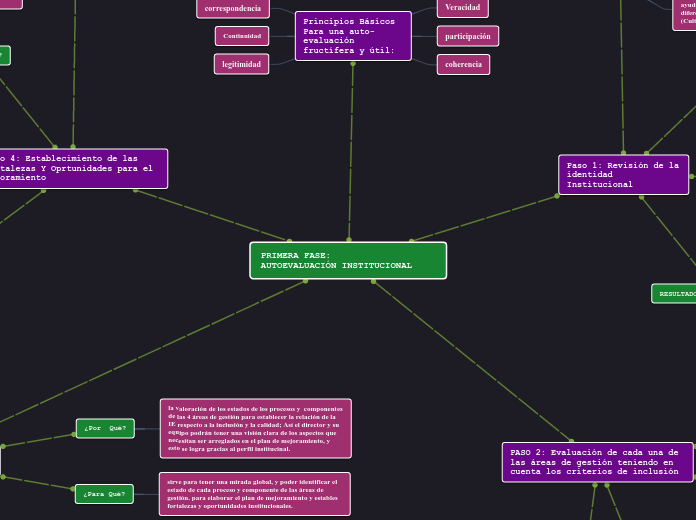 Mind Map - Primera Etapa- Autoevaluación institucional