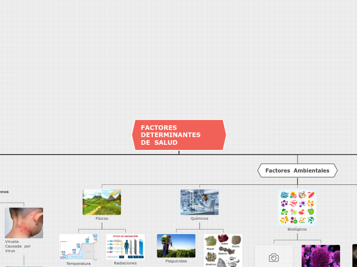 FACTORES DETERMINANTES       DE  SALUD