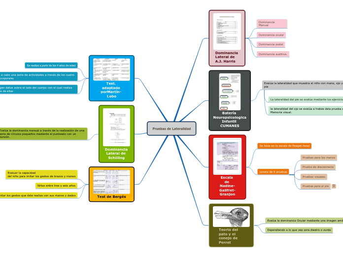 Pruebas de Lateralidad