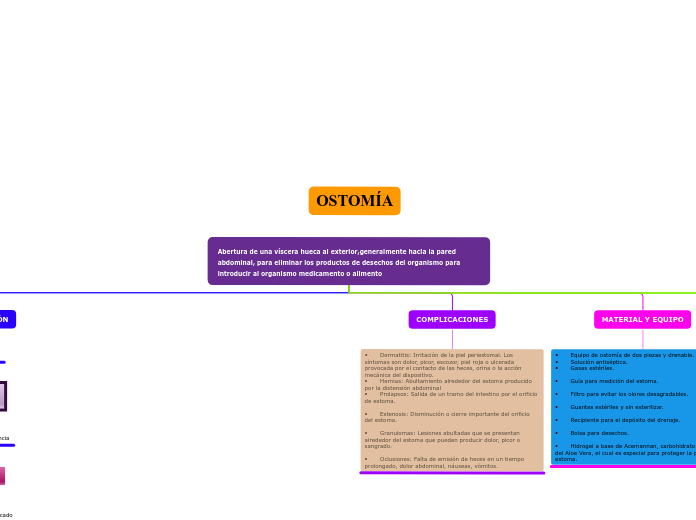 Organigrama arbol