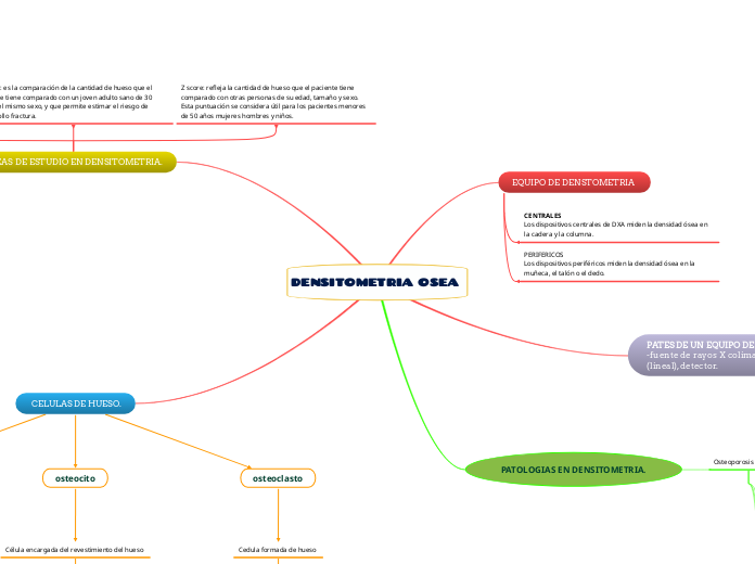 DENSITOMETRIA OSEA 