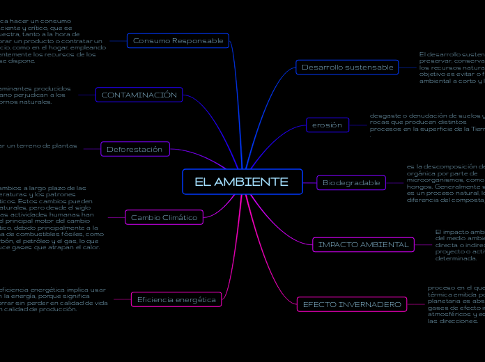 EL AMBIENTE 