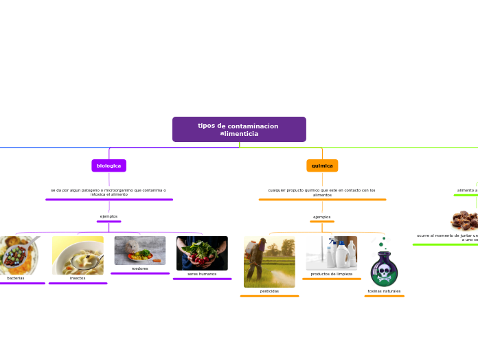 tipos de contaminacion alimenticia