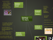 Modelo de Evaluación Psicológico