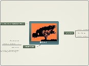 mapa conceptual los guardaparques