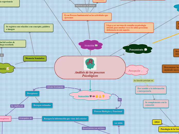 Análisis de los procesos Psicológicos