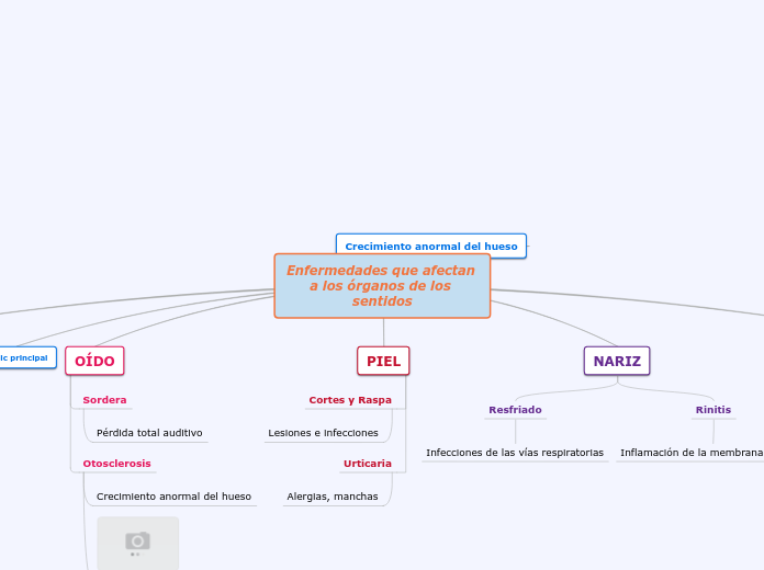 Enfermedades que afectan 
a los órganos de los sentidos