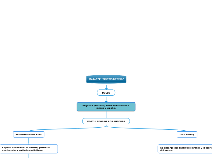 ETAPAS DEL PROCESO DE DUELO