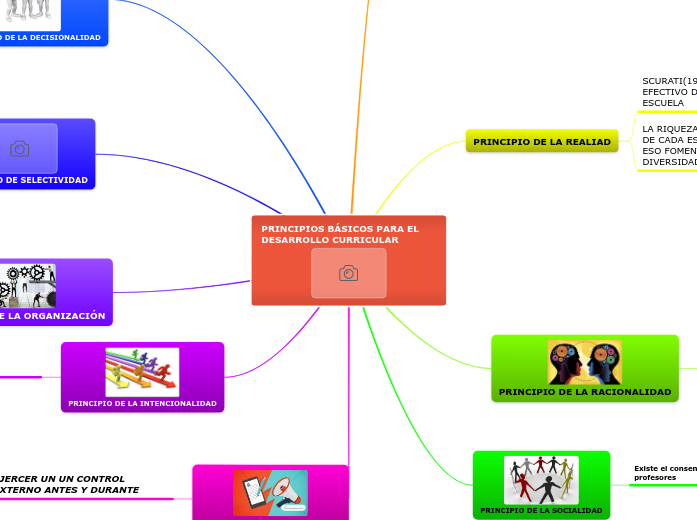 PRINCIPIOS BÁSICOS PARA EL DESARROLLO CURRICULAR 