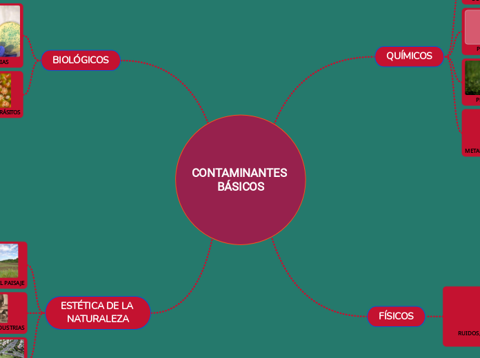 CONTAMINANTES BÁSICOS