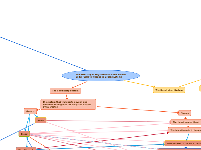 SNC2D0 2D Biology Unit Summative Concept Map June 2021