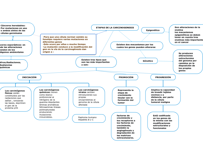 ETAPAS DE LA CARCINOGENESIS