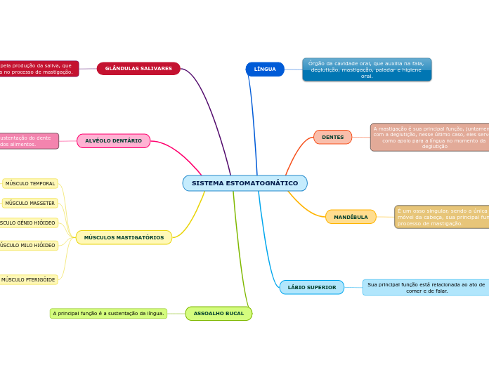 SISTEMA ESTOMATOGNÁTICO