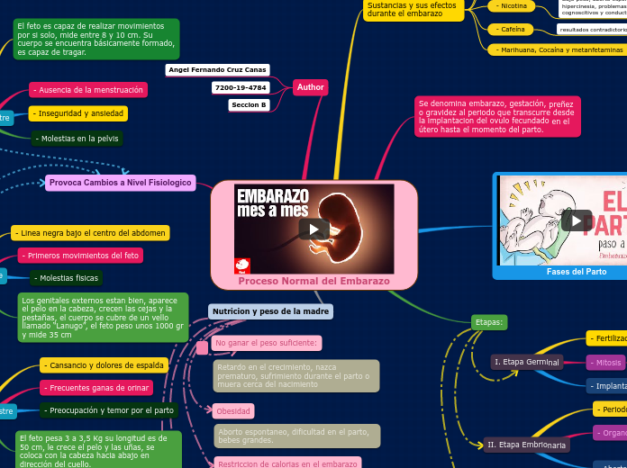 Proceso Normal del Embarazo