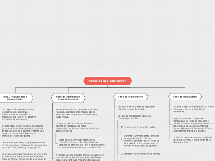 Organigrama arbol