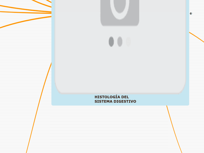 HISTOLOGÍA DEL SISTEMA DIGESTIVO