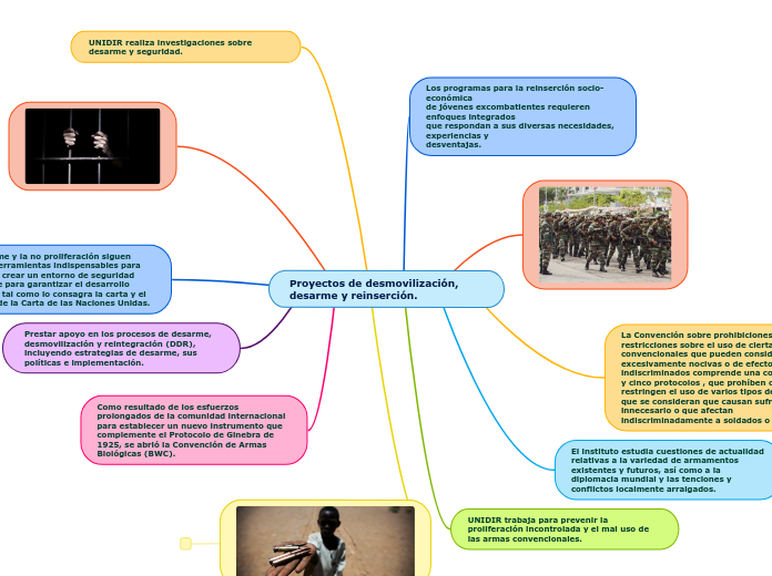 Proyectos de desmovilización, desarme y reinserción.