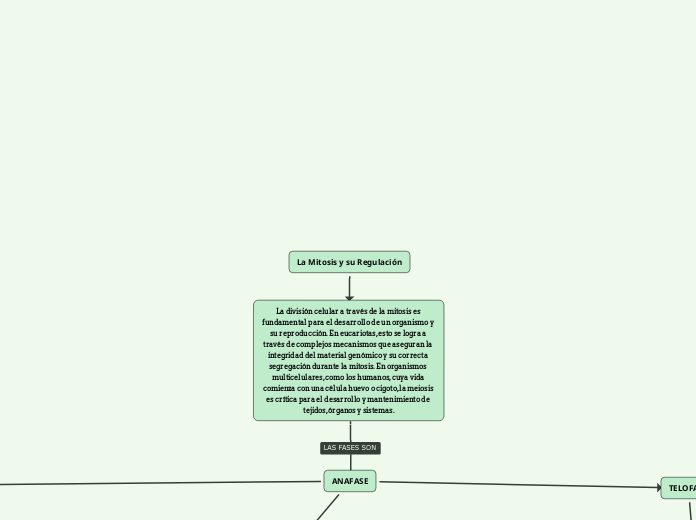 La Mitosis y su Regulación