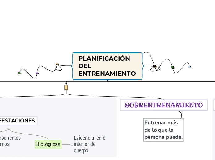 PLANIFICACIÓN DEL      ENTRENAMIENTO