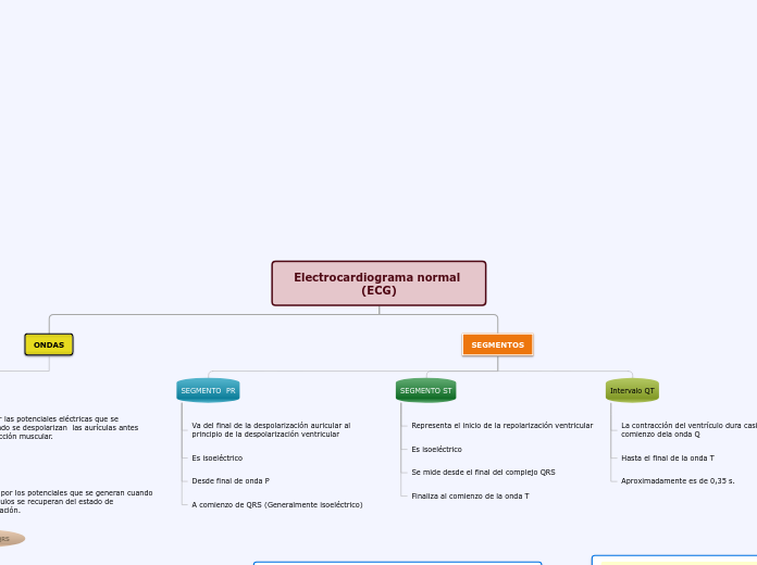 Organigrama