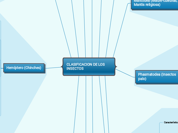 CLASIFICACION DE LOS INSECTOS