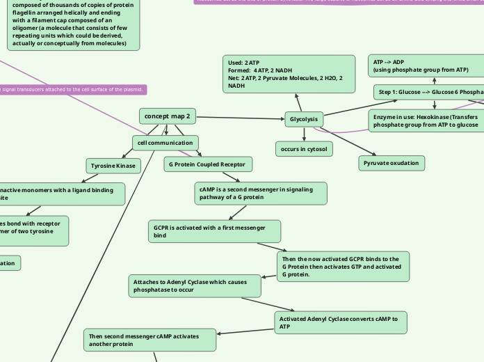 concept map 2