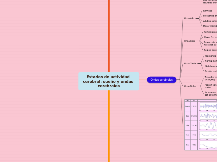 Estados de actividad cerebral: sueño y ondas cerebrales