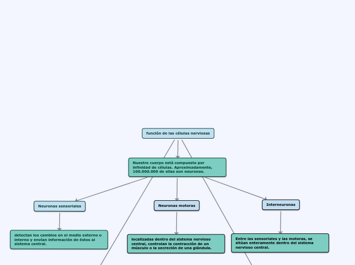 función de las células nerviosas