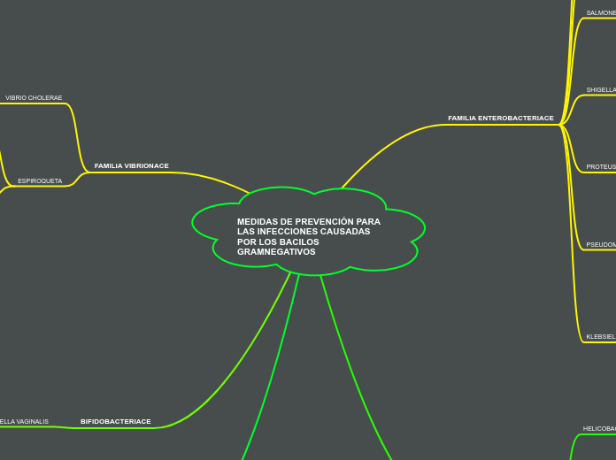 MEDIDAS DE PREVENCIÓN PARA LAS INFECCIONES CAUSADAS POR LOS BACILOS GRAMNEGATIVOS