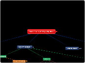 MIS Analysis of a Company