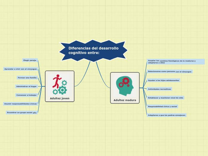 Diferencias del desarrollo cognitivo entre: