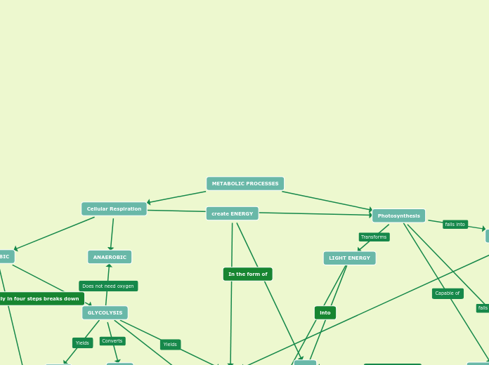 METABOLIC PROCESSES